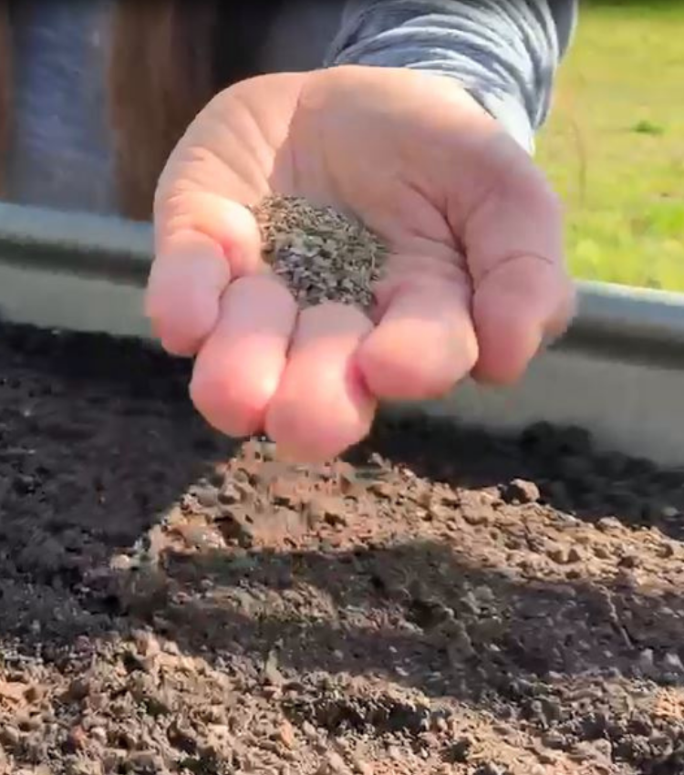 Testing the Soil at St. Supery Estate's Culinary Garden